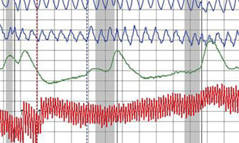 lie detector lady polygraph los angeles